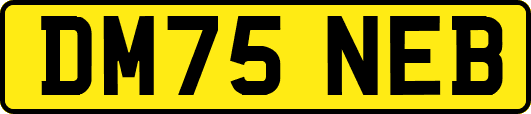 DM75NEB