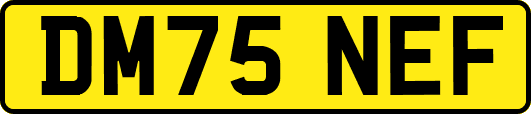 DM75NEF
