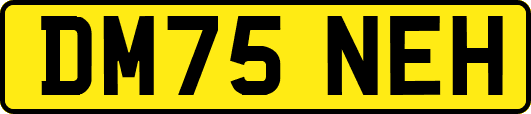 DM75NEH
