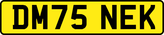 DM75NEK