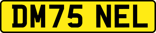 DM75NEL