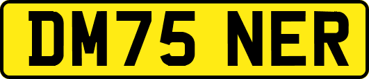 DM75NER