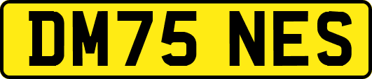 DM75NES
