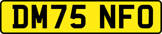 DM75NFO
