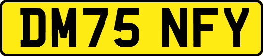 DM75NFY