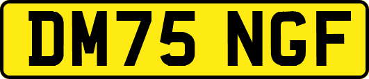 DM75NGF