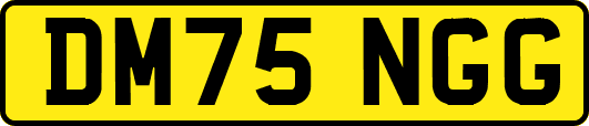 DM75NGG