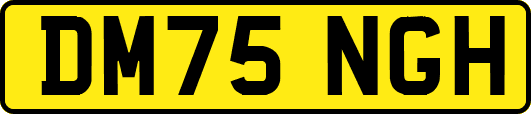 DM75NGH