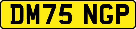 DM75NGP