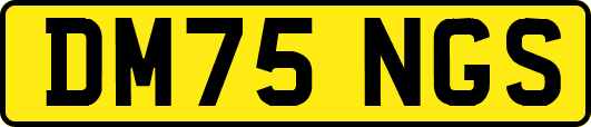 DM75NGS