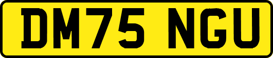 DM75NGU