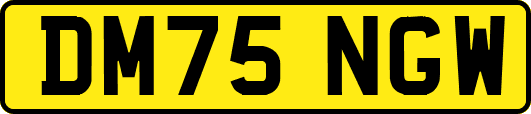DM75NGW