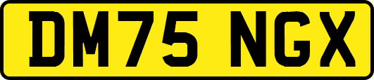 DM75NGX