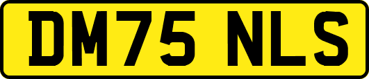 DM75NLS