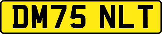 DM75NLT