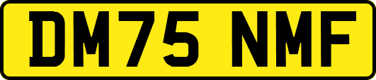 DM75NMF