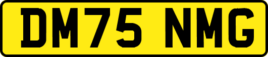 DM75NMG