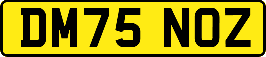 DM75NOZ