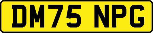 DM75NPG