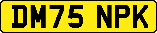 DM75NPK