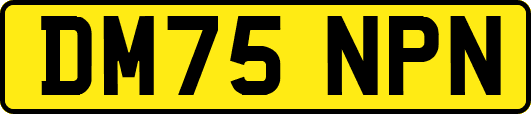 DM75NPN