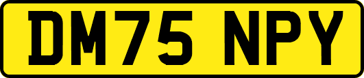DM75NPY