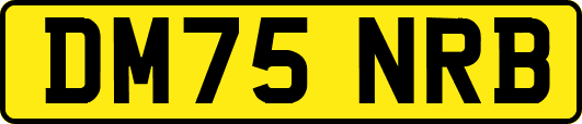 DM75NRB
