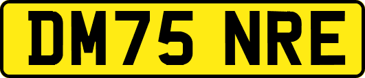 DM75NRE