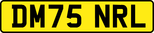 DM75NRL