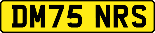 DM75NRS