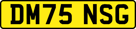 DM75NSG