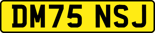 DM75NSJ