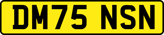 DM75NSN