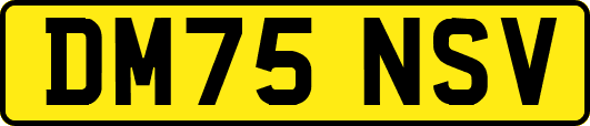 DM75NSV