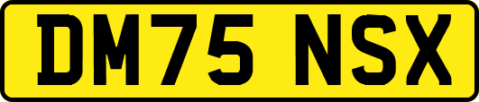 DM75NSX