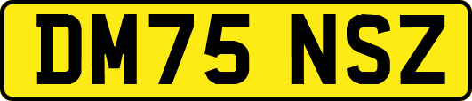 DM75NSZ