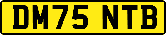 DM75NTB