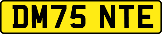 DM75NTE