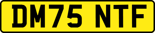 DM75NTF