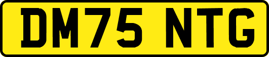 DM75NTG