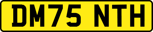 DM75NTH