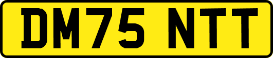 DM75NTT