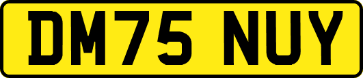 DM75NUY