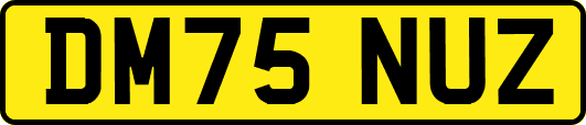 DM75NUZ