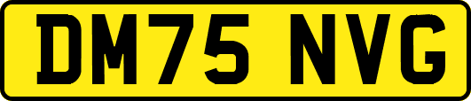 DM75NVG