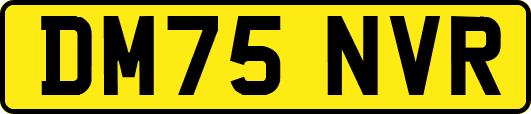 DM75NVR