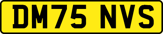 DM75NVS