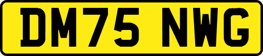 DM75NWG