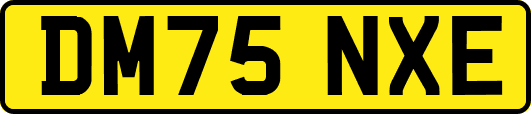 DM75NXE