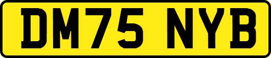 DM75NYB